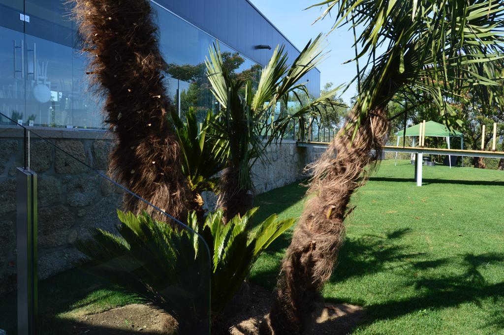Villa Quinta Das Tulipas Barcelos Exterior foto
